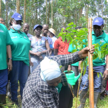 Dr. Sarah Wasagali, the ERA Board Chair participates in the planting.
